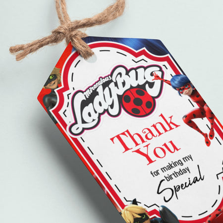 Ladybug Theme Thank You Cards & Return Gift Tags - 30Pcs, 2x3.5, 250 GSM Cardstock (Ladybug)