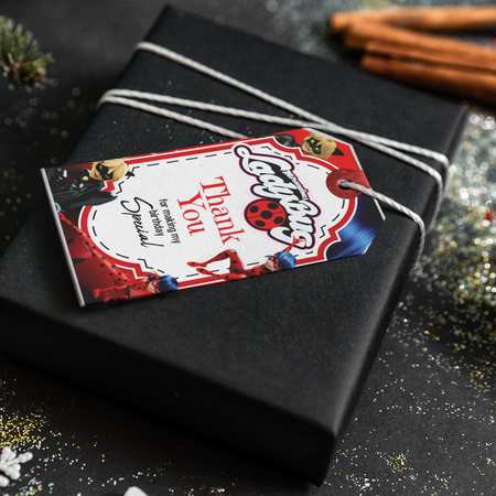 Ladybug Theme Thank You Cards & Return Gift Tags - 30Pcs, 2x3.5, 250 GSM Cardstock (Ladybug)