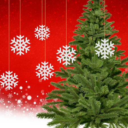 Merry Christmas Snowflake Bunting - (5.5 Inches/250 GSM Cardstock/White/6)