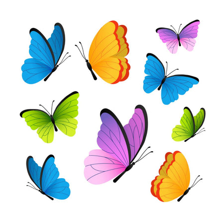 Butterfly Colored Cut Outs Theme Birthday Decoration(12 Pcs)