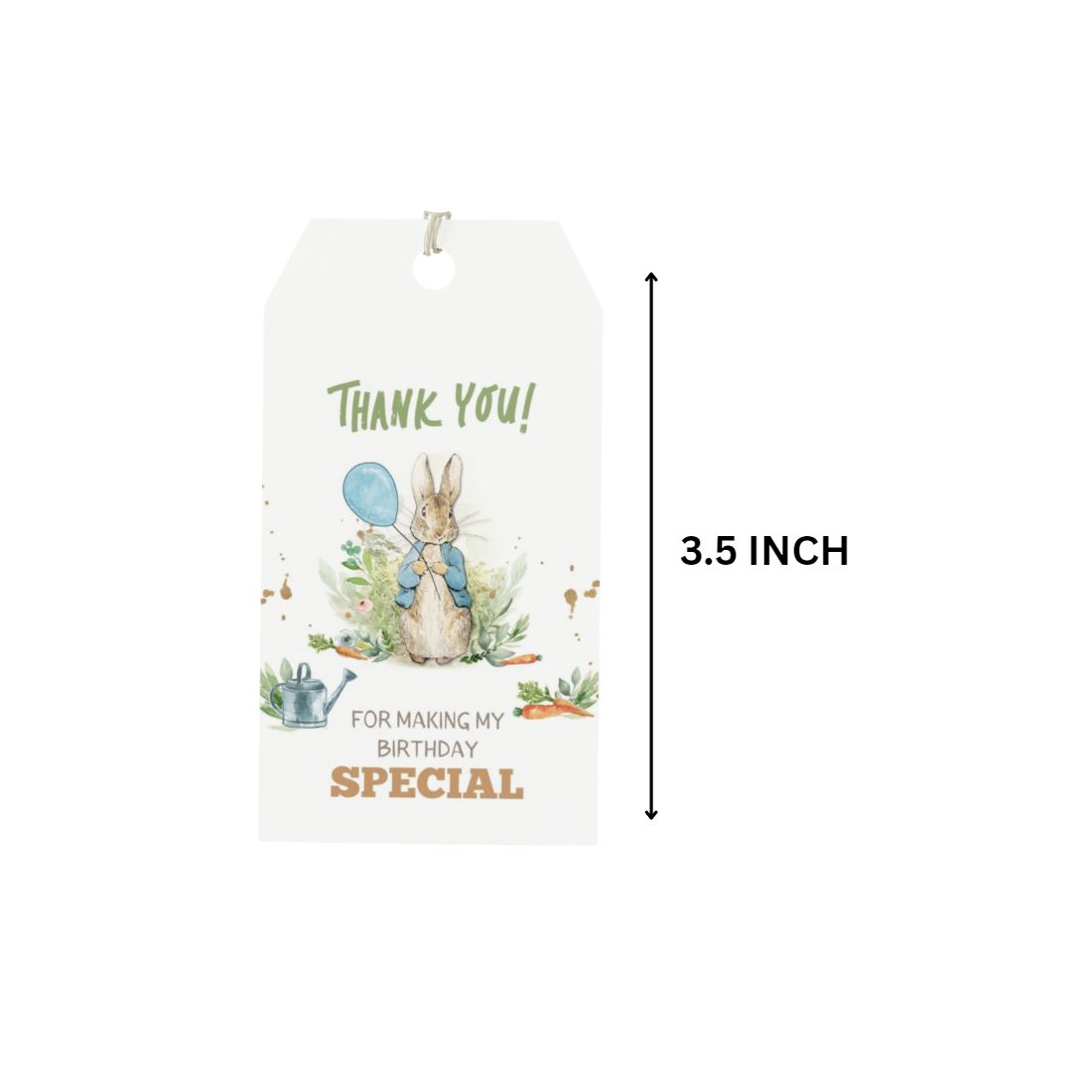 Peter Rabbit Theme Birthday Favour Tags (2 x 3.5 inches/250 GSM Cardstock/Mixcolour/30Pcs)