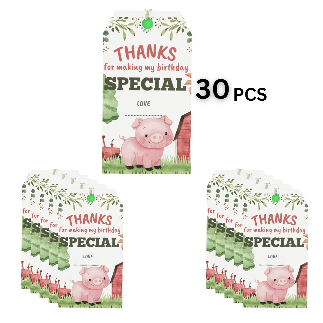 Farm House Theme Birthday Favour Tags (2 x 3.5 inches/250 GSM Cardstock/Mixcolour/30Pcs)