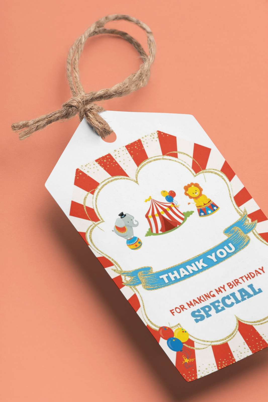 Carnival Theme Birthday Favour Tags (2 x 3.5 inches/250 GSM Cardstock/Multicolour/30Pcs)