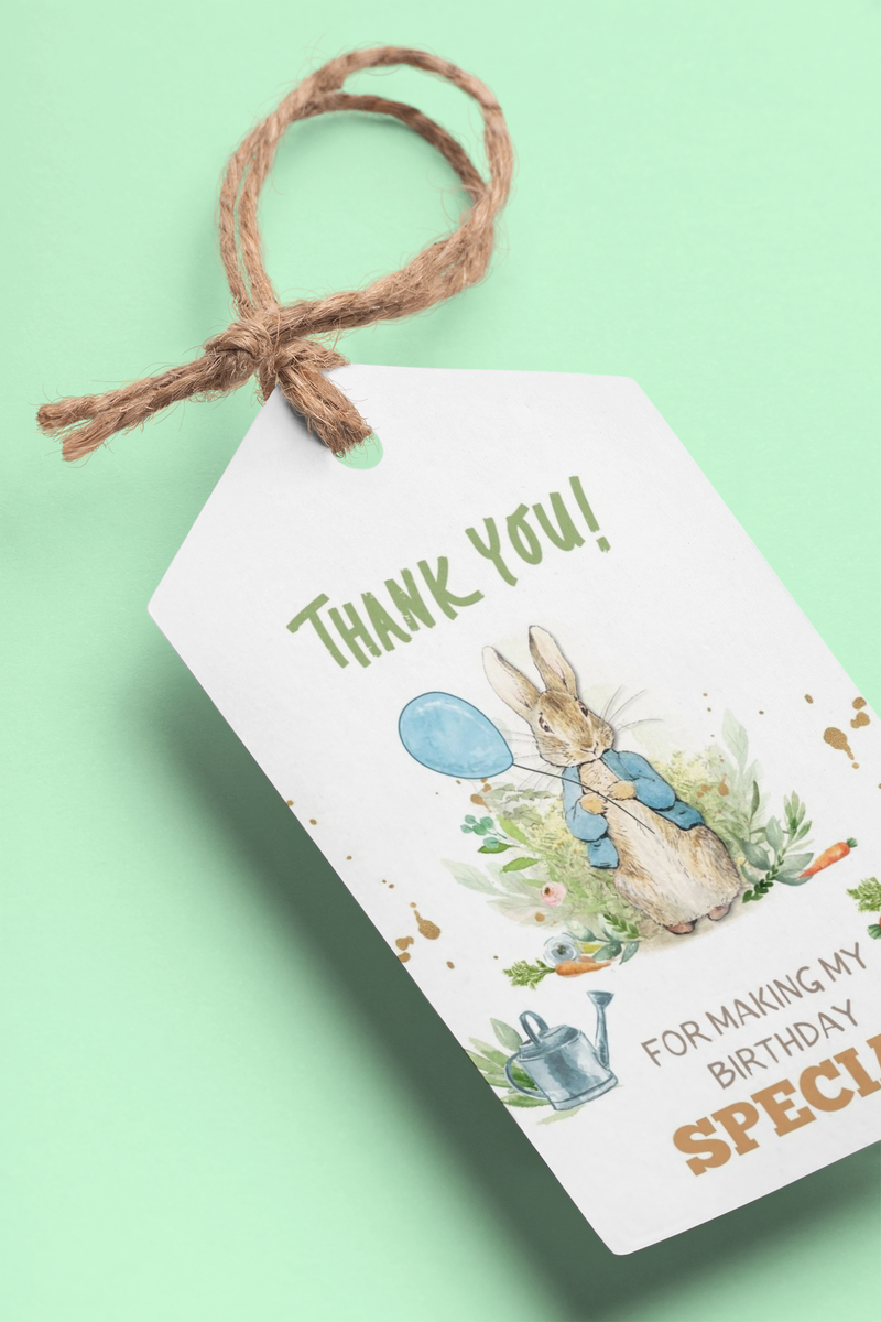Peter Rabbit Theme Birthday Favour Tags (2 x 3.5 inches/250 GSM Cardst ...