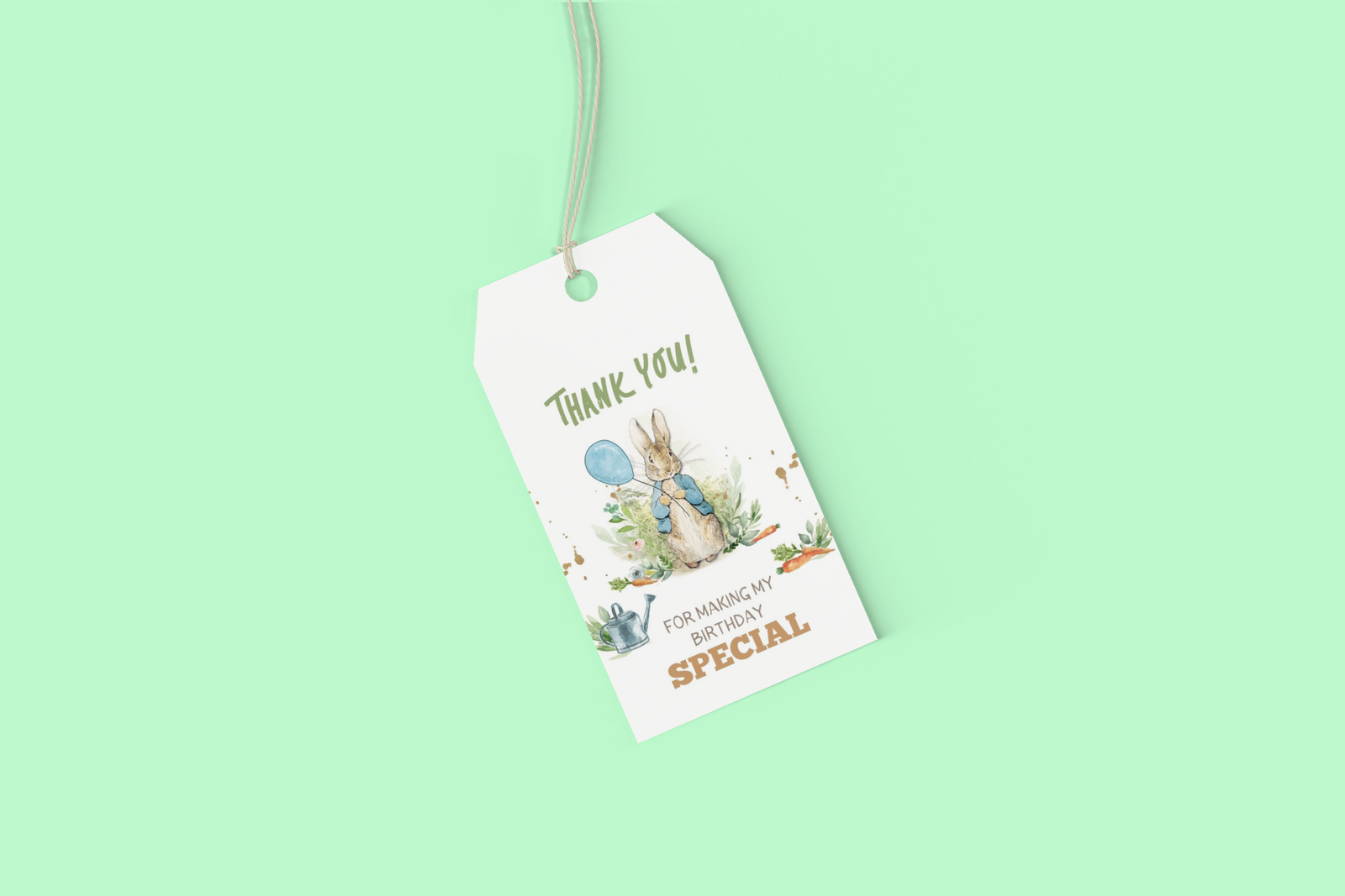 Peter Rabbit Theme Birthday Favour Tags (2 x 3.5 inches/250 GSM Cardstock/Mixcolour/30Pcs)