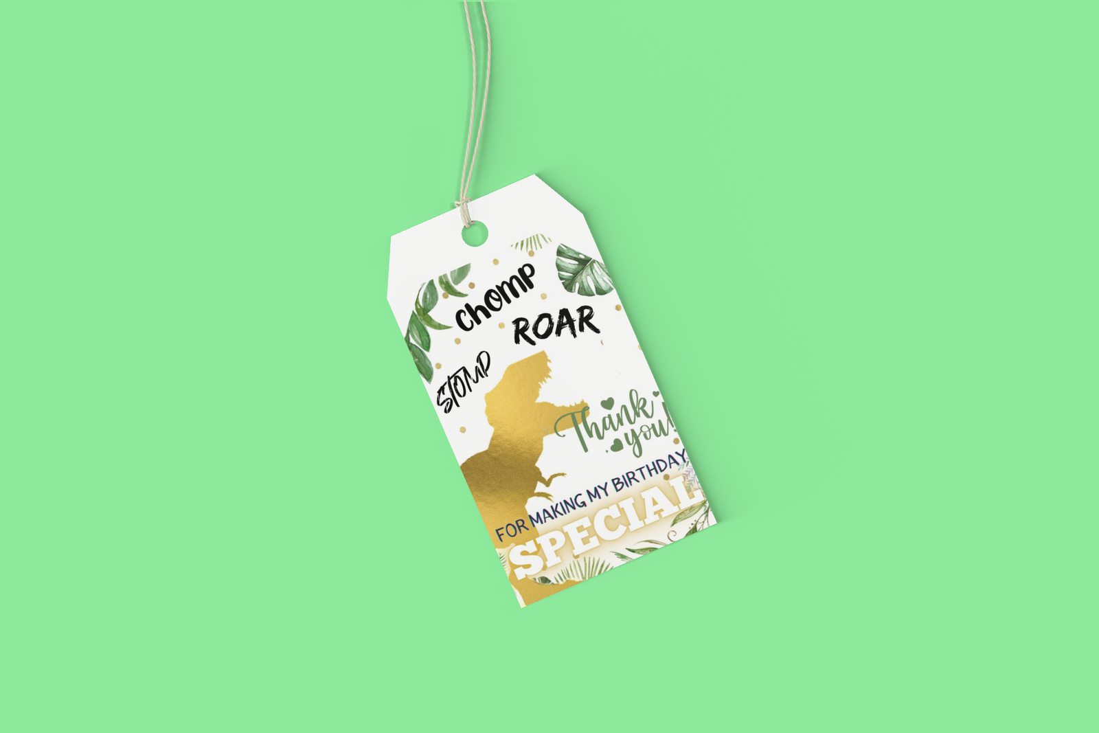 Dinosaur Theme Model 2 Birthday Favour Tags (2 x 3.5 inches/250 GSM Cardstock/Multicolour/30Pcs)
